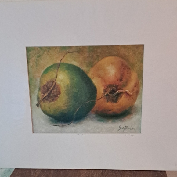 Coconuts Coquitos Art Giclee Print - Picture 3 of 5